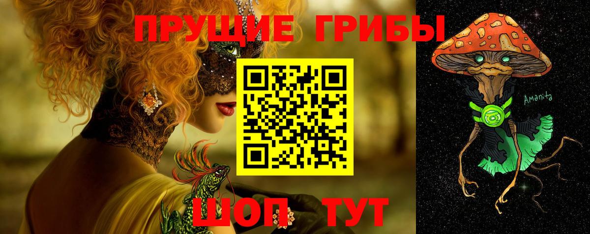 дарнет шоп  Псилоцибиновые грибы MAGIC MUSHROOMS  Вход с VPN  Ртищево 
